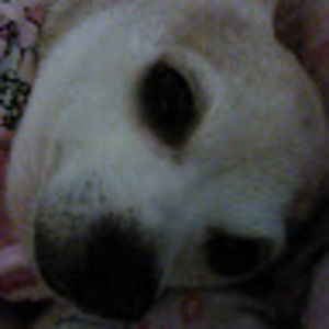 Meet your Posher, Linda